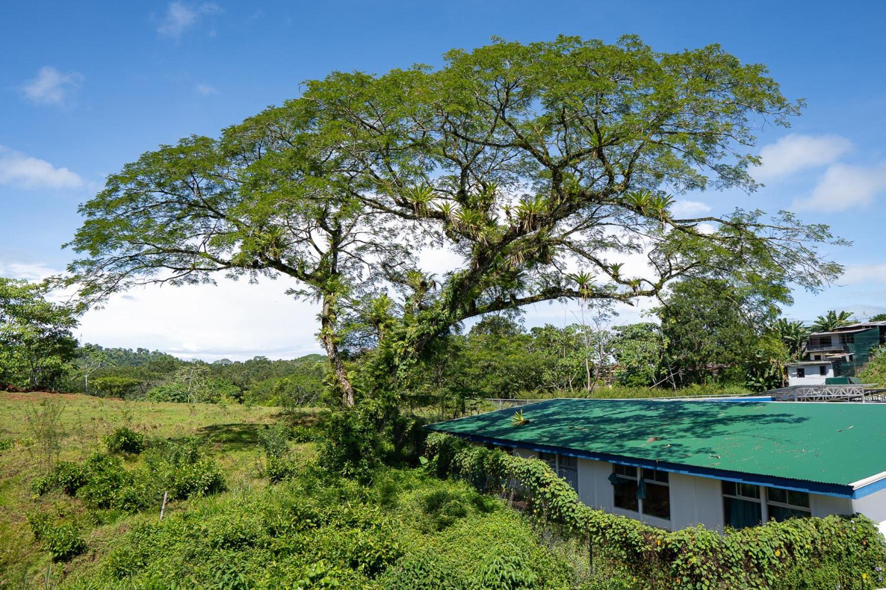 Yellow House Quepos Exterior photo